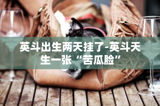 英斗出生兩天掛了-英斗天生一張“苦瓜臉”