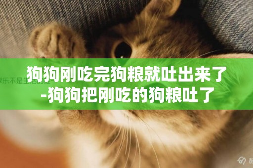 狗狗剛吃完狗糧就吐出來了-狗狗把剛吃的狗糧吐了