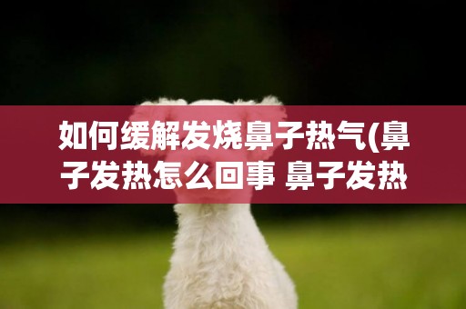 如何緩解發燒鼻子熱氣(鼻子發熱怎么回事 鼻子發熱怎么辦)