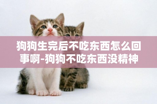 狗狗生完后不吃東西怎么回事啊-狗狗不吃東西沒精神嘔吐怎么回事啊