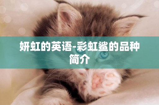 妍虹的英語-彩虹鯊的品種簡介