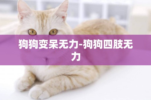 狗狗變呆無力-狗狗四肢無力