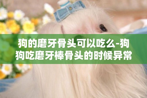 狗的磨牙骨頭可以吃么-狗狗吃磨牙棒骨頭的時候異常的急怎么辦