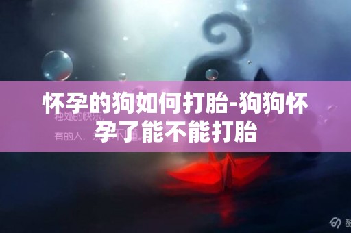 懷孕的狗如何打胎-狗狗懷孕了能不能打胎