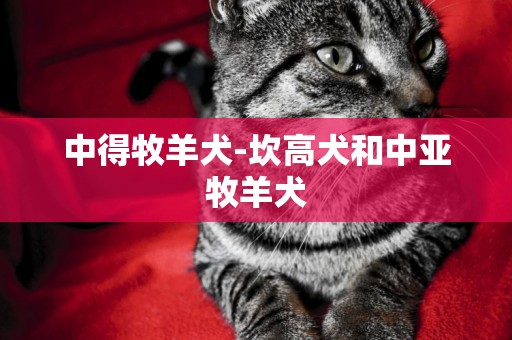 中得牧羊犬-坎高犬和中亞牧羊犬
