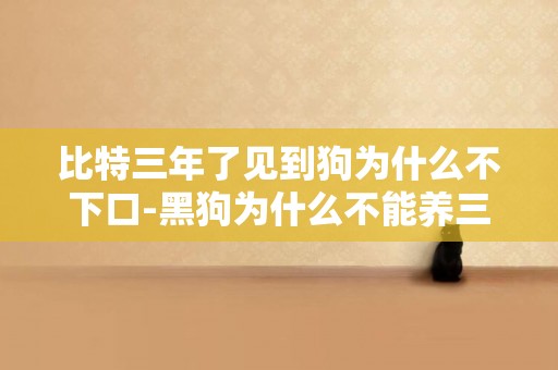 比特三年了見到狗為什么不下口-黑狗為什么不能養三年