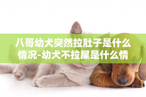 八哥幼犬突然拉肚子是什么情況-幼犬不拉屎是什么情況