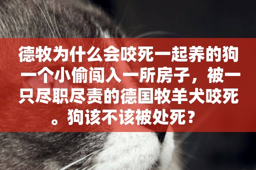德牧為什么會咬死一起養的狗 一個小偷闖入一所房子，被一只盡職盡責的德國牧羊犬咬死。狗該不該被處死？ 