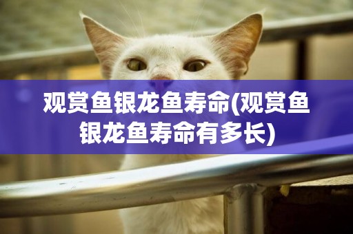 觀賞魚銀龍魚壽命(觀賞魚銀龍魚壽命有多長)