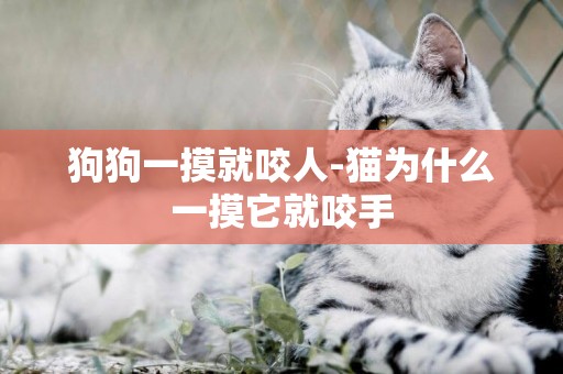 狗狗一摸就咬人-貓為什么一摸它就咬手