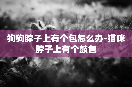 狗狗脖子上有個包怎么辦-貓咪脖子上有個鼓包
