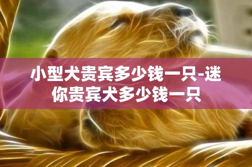 小型犬貴賓多少錢一只-迷你貴賓犬多少錢一只