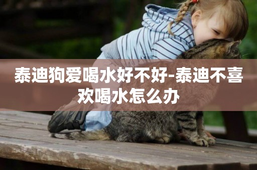 泰迪狗愛喝水好不好-泰迪不喜歡喝水怎么辦