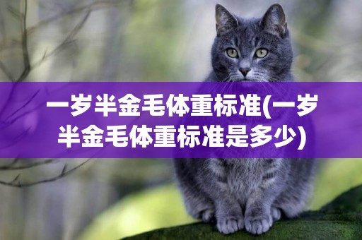 一歲半金毛體重標準(一歲半金毛體重標準是多少)