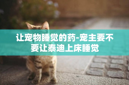 讓寵物睡覺的藥-寵主要不要讓泰迪上床睡覺