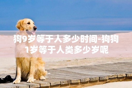 狗9歲等于人多少時間-狗狗1歲等于人類多少歲呢