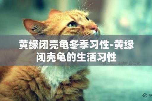 黃緣閉殼龜冬季習性-黃緣閉殼龜的生活習性