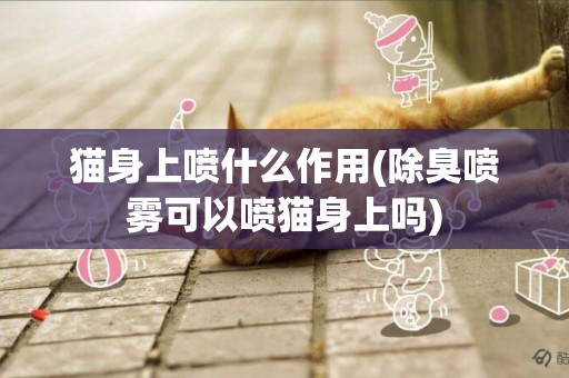 貓身上噴什么作用(除臭噴霧可以噴貓身上嗎)