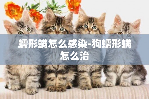 蠕形螨怎么感染-狗蠕形螨怎么治