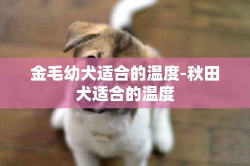 金毛幼犬適合的溫度-秋田犬適合的溫度