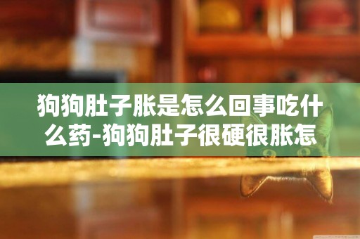 狗狗肚子脹是怎么回事吃什么藥-狗狗肚子很硬很脹怎么回事