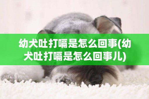 幼犬吐打嗝是怎么回事(幼犬吐打嗝是怎么回事兒)