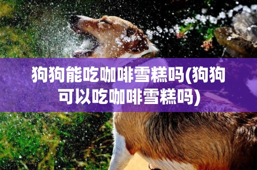狗狗能吃咖啡雪糕嗎(狗狗可以吃咖啡雪糕嗎)