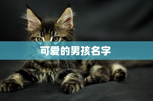 可愛的男孩名字 
