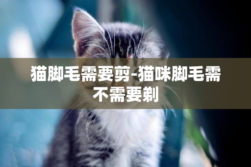 貓腳毛需要剪-貓咪腳毛需不需要剃