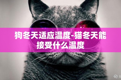 狗冬天適應溫度-貓冬天能接受什么溫度