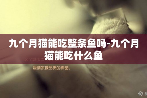 九個月貓能吃整條魚嗎-九個月貓能吃什么魚