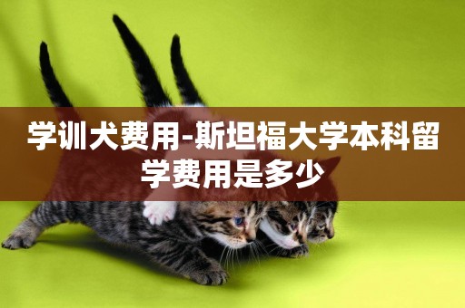 學訓犬費用-斯坦福大學本科留學費用是多少