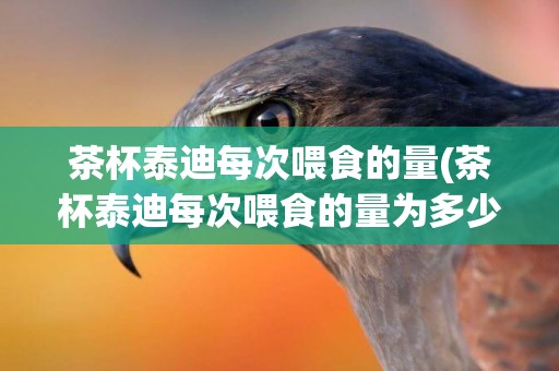 茶杯泰迪每次喂食的量(茶杯泰迪每次喂食的量為多少)