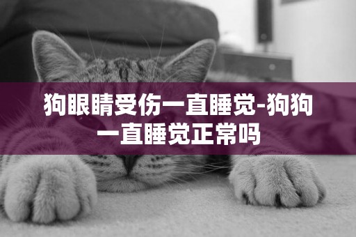 狗眼睛受傷一直睡覺-狗狗一直睡覺正常嗎