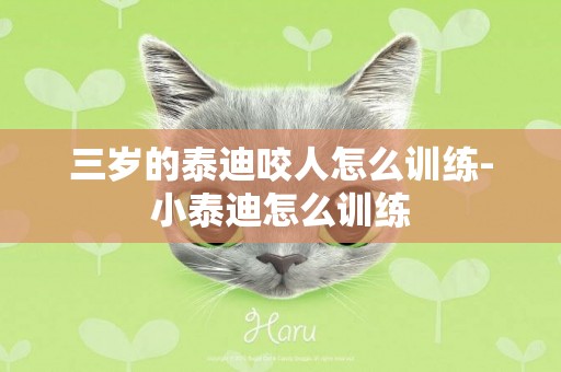 三歲的泰迪咬人怎么訓練-小泰迪怎么訓練