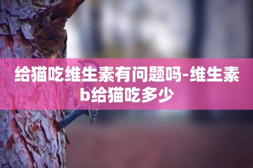 給貓吃維生素有問題嗎-維生素b給貓吃多少