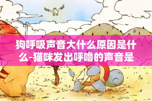 狗呼吸聲音大什么原因是什么-貓咪發出呼嚕的聲音是什么原因