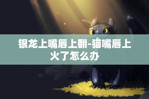 銀龍上嘴唇上翻-貓嘴唇上火了怎么辦