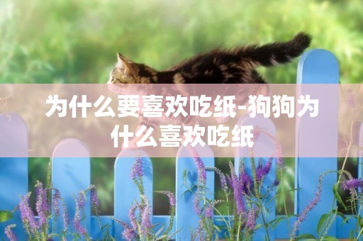 為什么要喜歡吃紙-狗狗為什么喜歡吃紙
