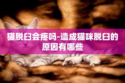 貓脫臼會疼嗎-造成貓咪脫臼的原因有哪些
