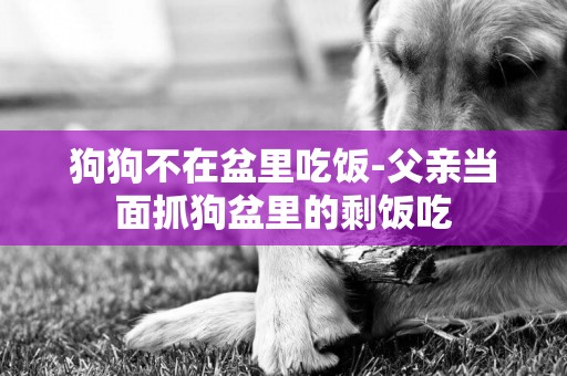 狗狗不在盆里吃飯-父親當面抓狗盆里的剩飯吃