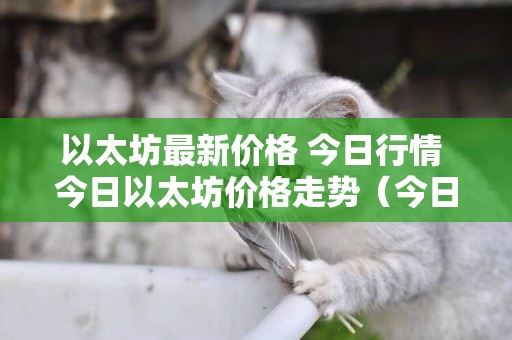 以太坊最新價格 今日行情 今日以太坊價格走勢（今日以太坊最新價格） 