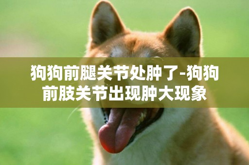 狗狗前腿關節處腫了-狗狗前肢關節出現腫大現象