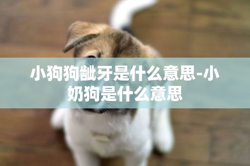 小狗狗齜牙是什么意思-小奶狗是什么意思