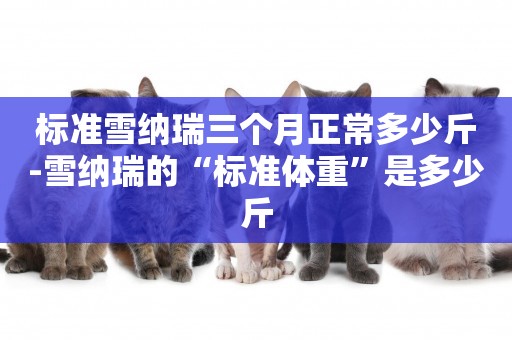 標準雪納瑞三個月正常多少斤-雪納瑞的“標準體重”是多少斤