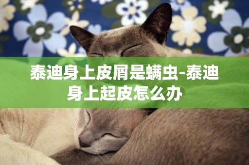 泰迪身上皮屑是螨蟲-泰迪身上起皮怎么辦
