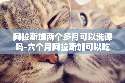 阿拉斯加兩個多月可以洗澡嗎-六個月阿拉斯加可以吃鈣片嗎