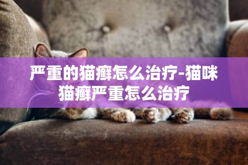 嚴重的貓癬怎么治療-貓咪貓癬嚴重怎么治療