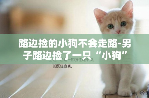 路邊撿的小狗不會走路-男子路邊撿了一只“小狗”