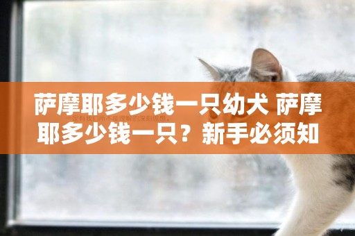 薩摩耶多少錢一只幼犬 薩摩耶多少錢一只？新手必須知道的薩摩耶犬飼養五點 